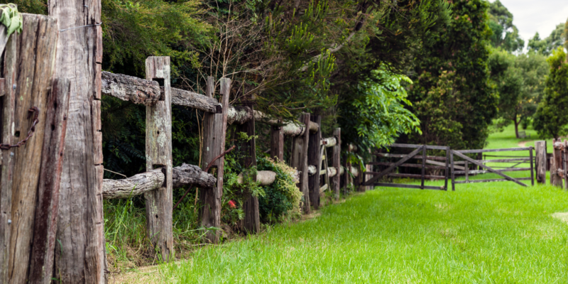 wooden fence seperating trees to lush green grass