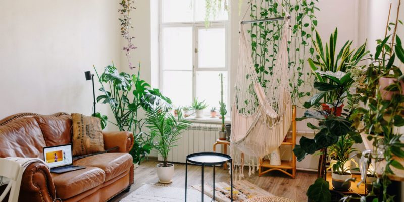 living room with a sofa and many plants that are beautifully arranged
